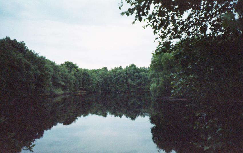 Ein analoges Foto eines still liegenden Sees. Im Hintergrund stehen und spiegeln sich Bäume im Wasser, vorne ragen von oben Äste mit Blätter ins Bild.