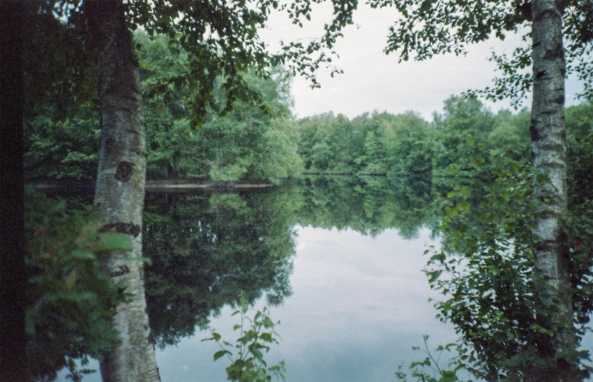 Ein analoges Foto eines still liegenden Sees. Im Hintergrund stehen und spiegeln sich Bäume im Wasser, im Vordergrund stehen zwei Birken.