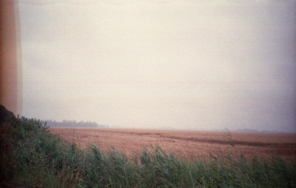 Eine Landschaft in Ostfriesland mit einer analogen Kamera aus dem fahrenden Auto heraus fotografiert. Es ist Sommer, aber regnerisch, die Szene wirkt gräulich, fast neblig.