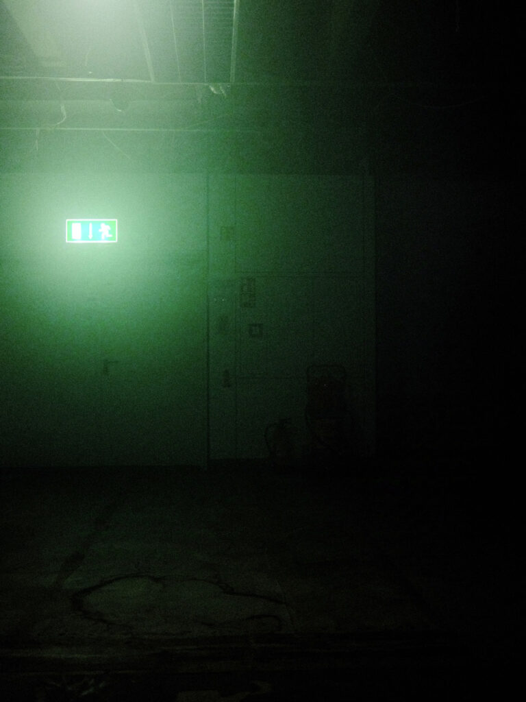 Ein dunkler Raum mit einer Tür, an der ein Notausgang-Schild leuchtet. an der Decke luegen Rohre frei. An der Tür stehen im Dunkeln Feuerlöscher, schwer zu erkennen. Es schwebt Nebel im Raum und die ganze Szene leuchtet grünlich.